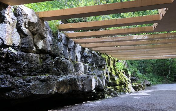 TRELLIS, FALLINGWATER